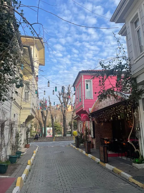 Brown Mansion Oldcity