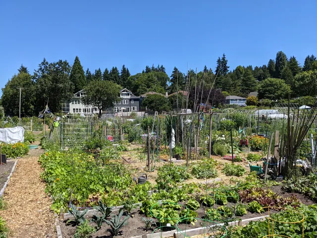 Picardo Farm P-Patch Community Garden