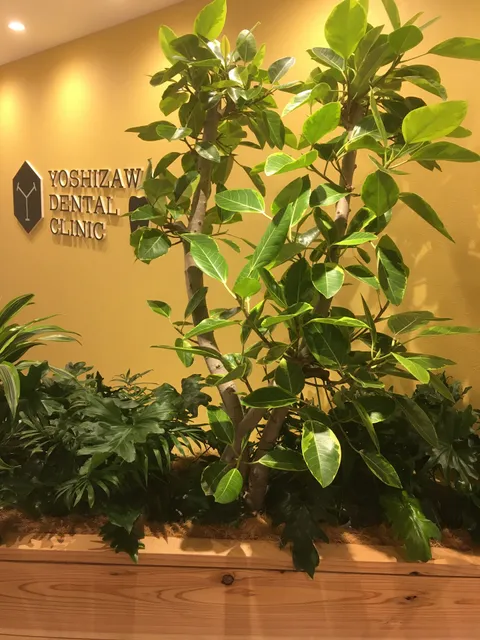 よしざわ歯科医院