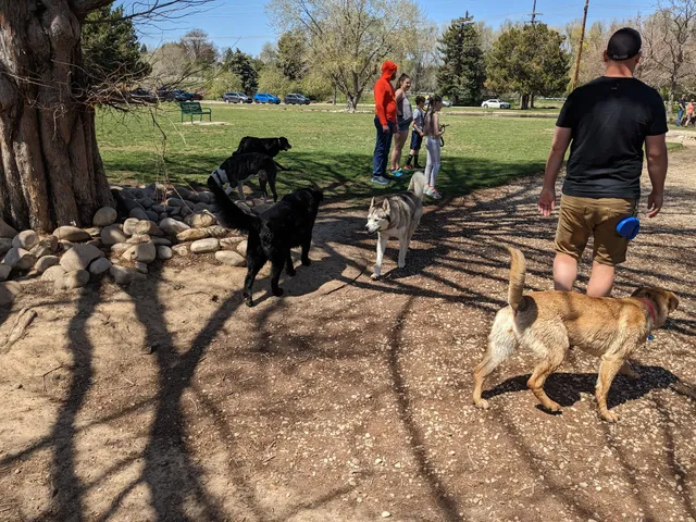 Together Treasure Valley Dog Island