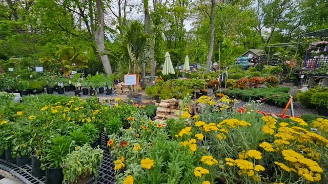 The Flower Station & Landscape Solutions