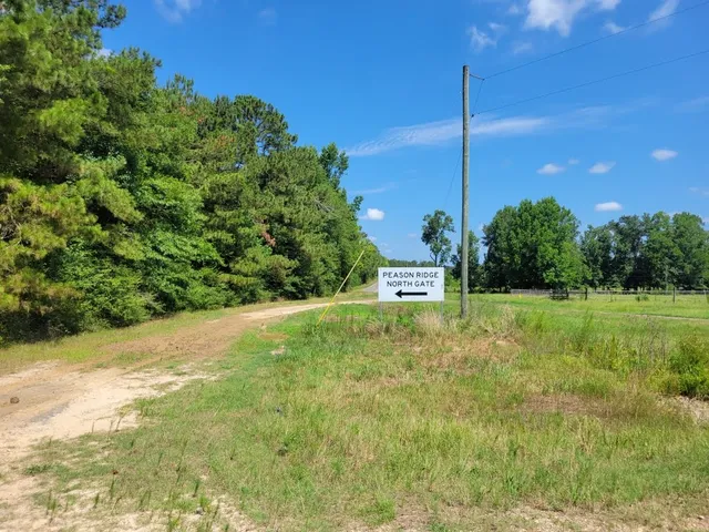 Peason Ridge Wildlife Management Area