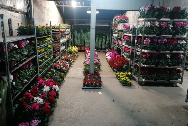 Coop.Flora Pompei a.r.l.