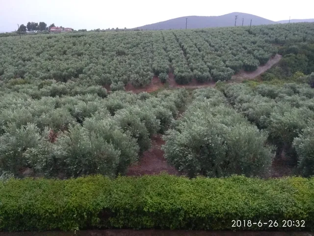 Big Summer House Halkidiki