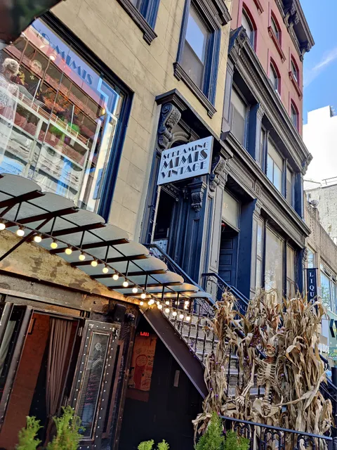 Screaming Mimis Vintage