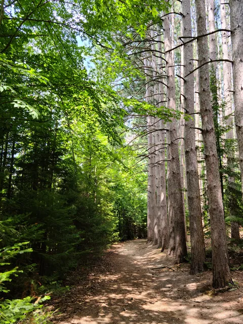 Proud Lake Recreation Area