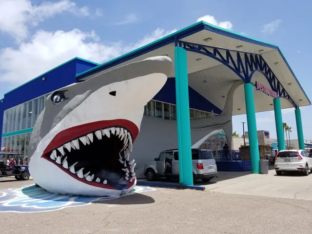 Destination Beach & Surf