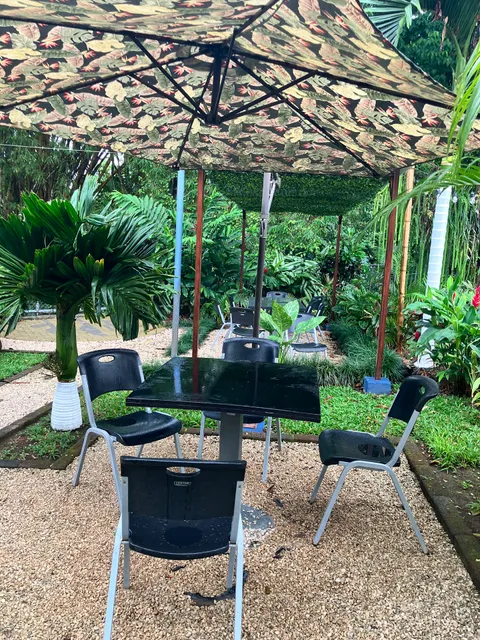 The Garden Food & Forest