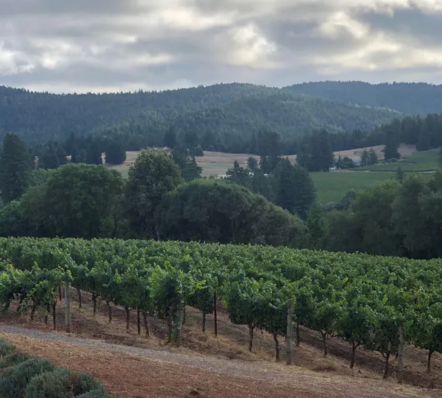 Brashley Vineyards Tasting Room and Winery