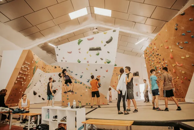 Planet Vertical - Climbing Yoga & Fitness