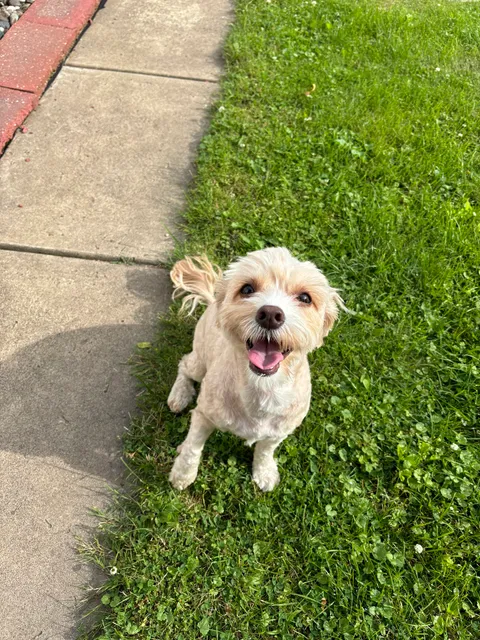 Pet Evolution - Arden Hills, MN - Grooming | Self-Wash | Healthy Food | Mobile Nail Trim