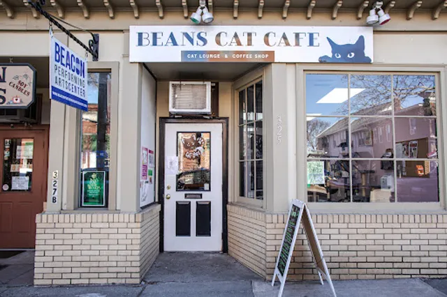 Beans Cat Cafe