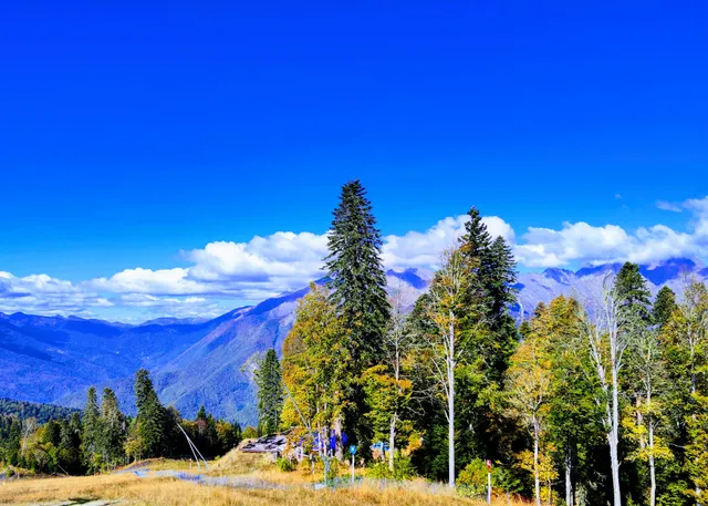 Laura - Stantsiya Pikhtovaya