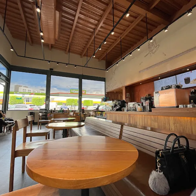 Starbucks Puebla Las Ánimas DT