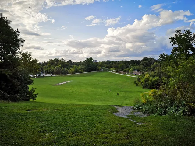 Cedarvale Park Dogs Off-Leash Area