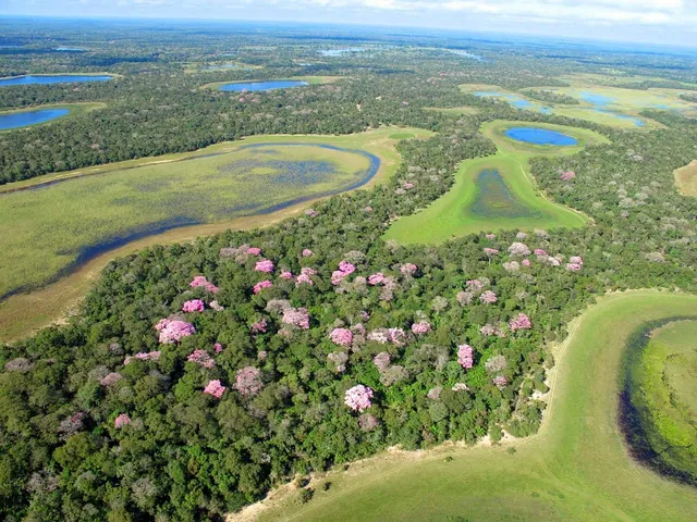 Fazenda Barranco Alto - Lodge