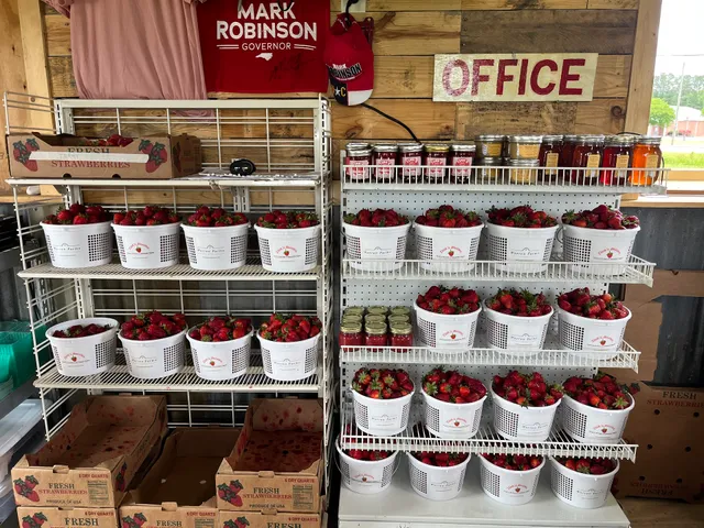 Warren Farms - Strawberries