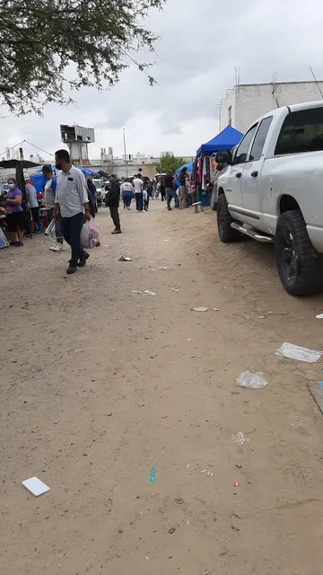 Pulga La Longoria - Chedraui