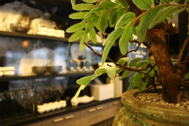 Den Haas | lunch - diner