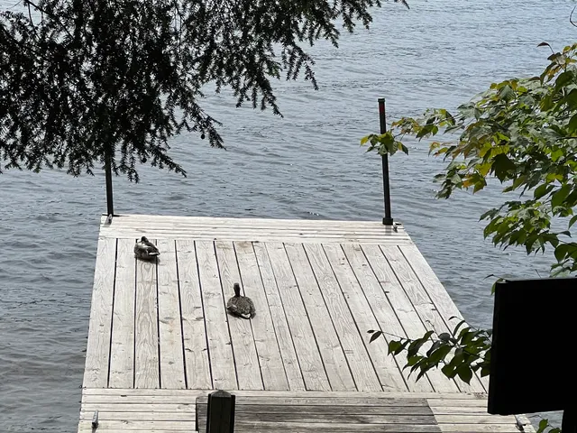 Alger Island Campground