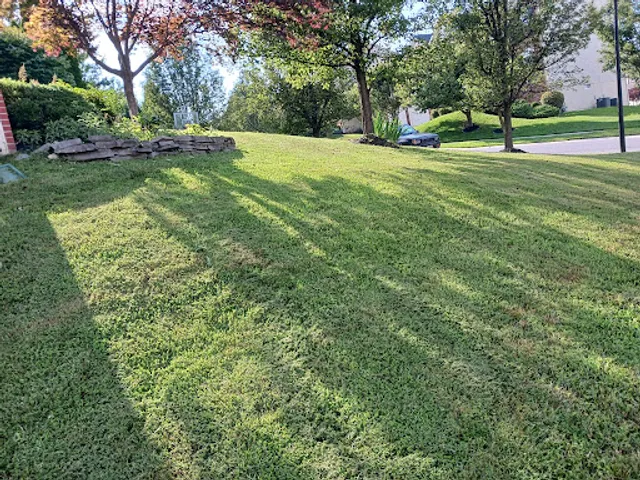 Calderon Landscaping Services