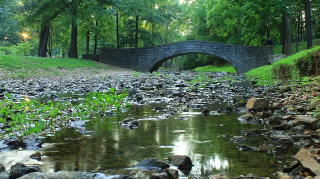 Dennis Scivally Park