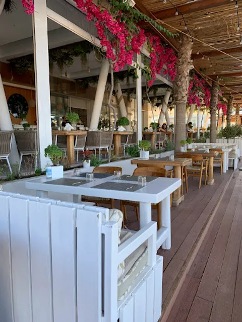 Anios Mediterranean Cuisine