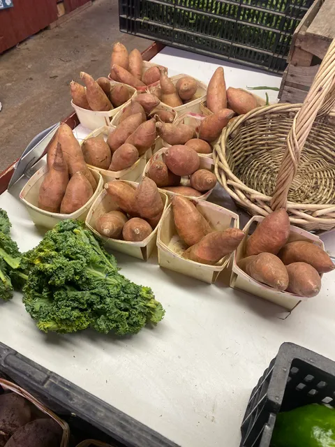 Fusilier Family Farm & Greenhouses