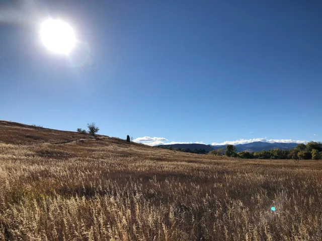 Van Bibber Creek Trail