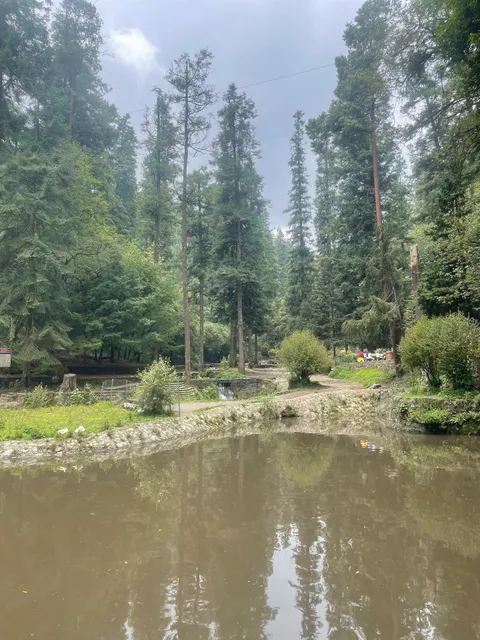 Lago de los Gansos - Desierto de los Leones