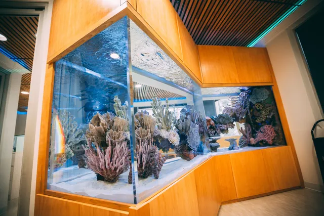 Oceans Aquarium Design