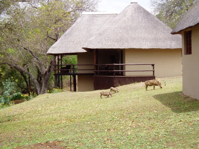 Balule River Lodge