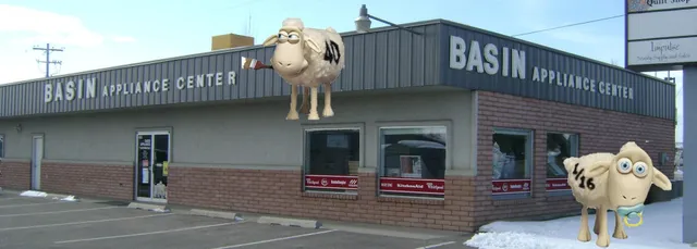 Basin Appliance and Floor Coverings