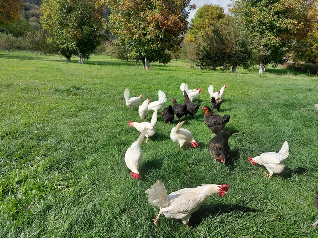 Κτήμα Καραδήμου