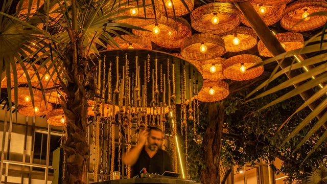 Ancestral Jungle Bar