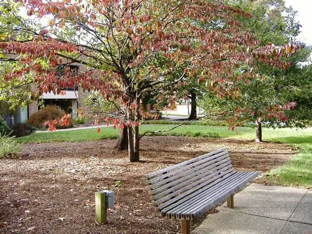 Carbondale Public Library