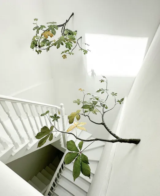 Travesía Cuatro CDMX