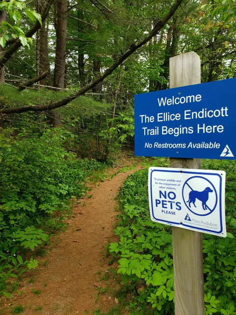 Mass Audubon Endicott Wildlife Sanctuary