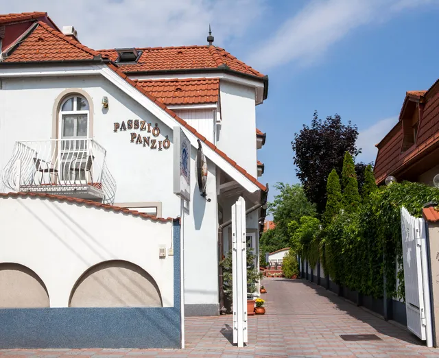 Passzió Panzió