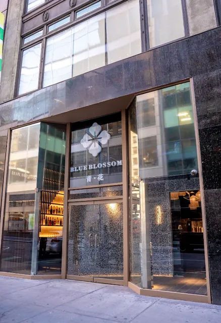 Blue Blossom 青花