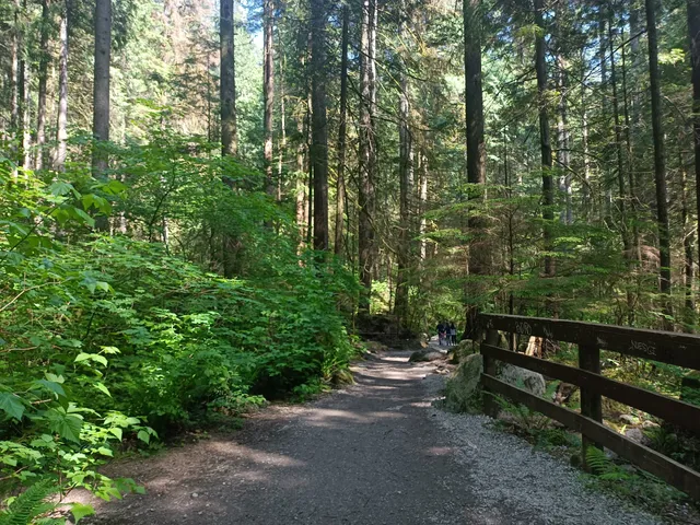Lynn Canyon Park East Parking Lot