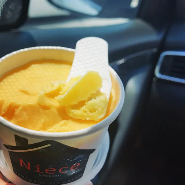 Niece Homemade Ice cream