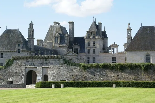 La Canopée des Pins