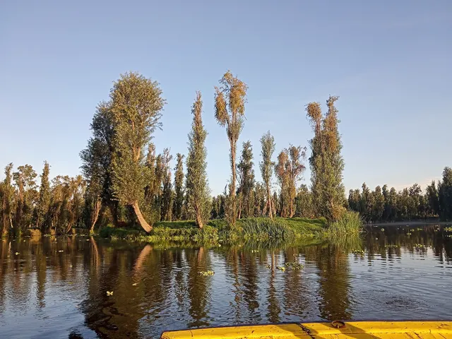 Antiguo Canal de Cuemanco
