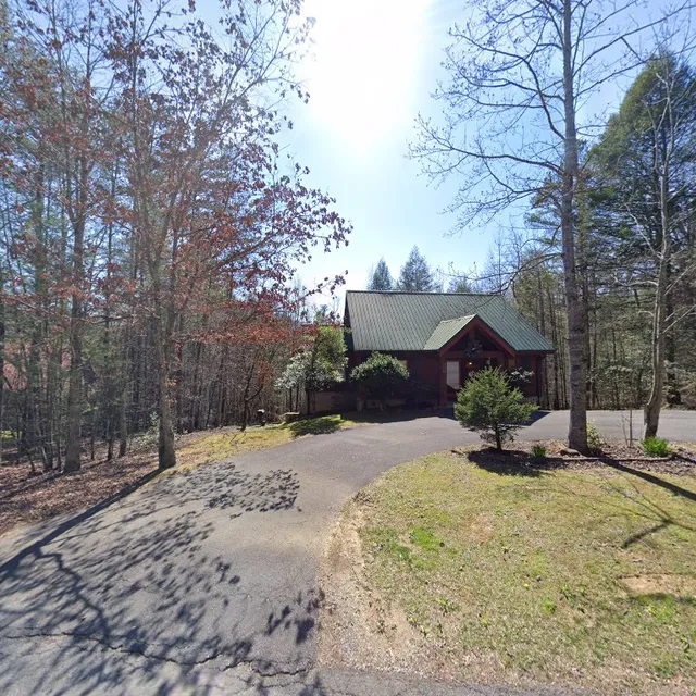 Don't Stop Bearlivin'