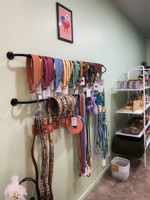 Les Mascottes Concept Store Canin