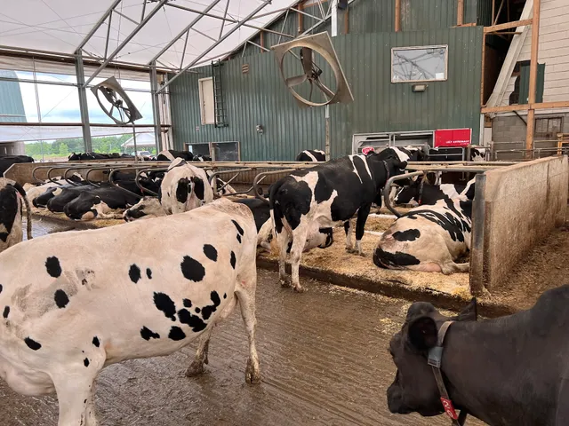 Brandon Charter Township