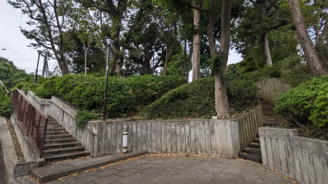 Itabashi City Itabashi East Ikoi no Mori Forest