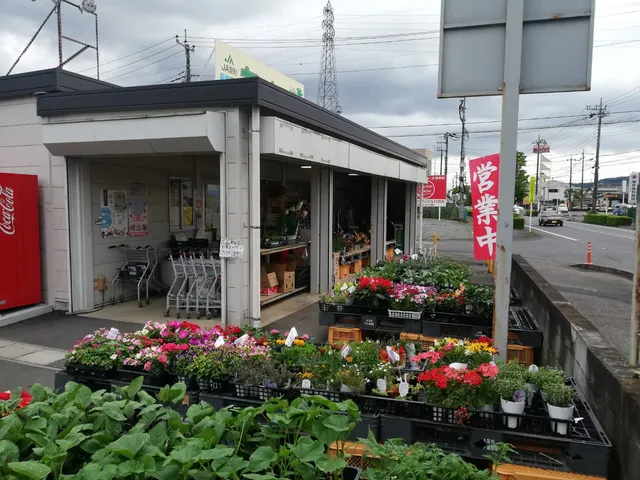 JA Ashikagano Nosanbutsuchokubaishoananhajika