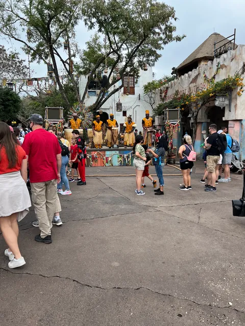 Disney's Animal Kingdom Theme Park